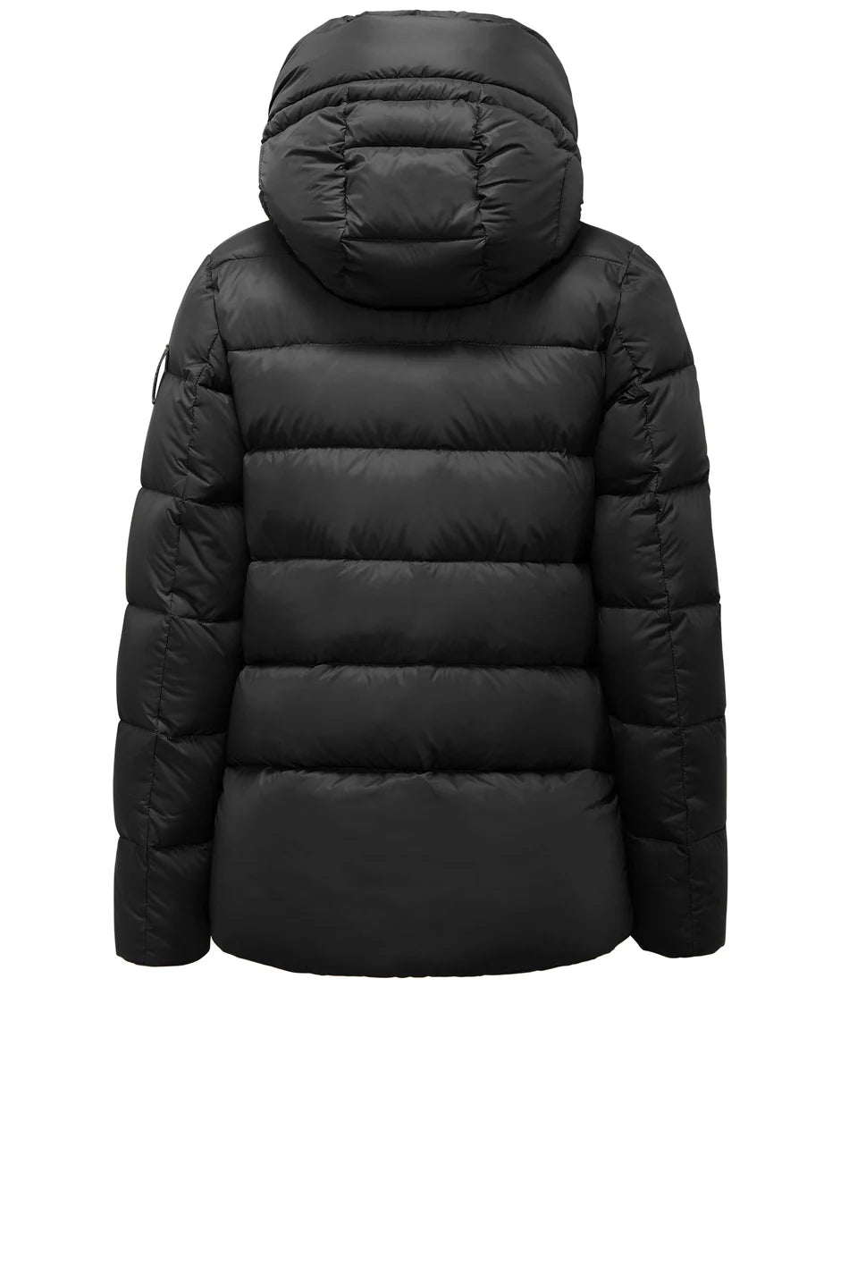 Piumino corto downproof Bomboogie con chiusura zip